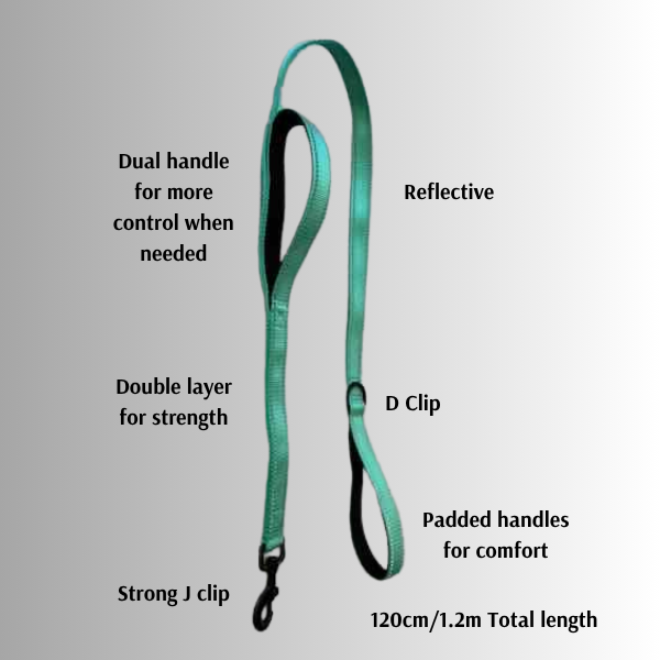 Control Dog Lead Reflective