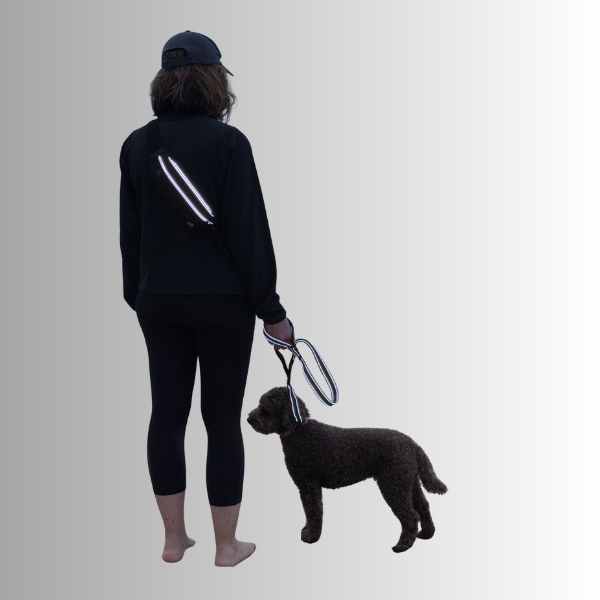 Dog Walking Essentials Kit