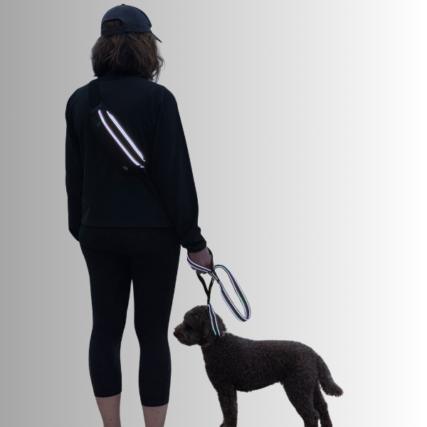 Control Dog Lead Reflective
