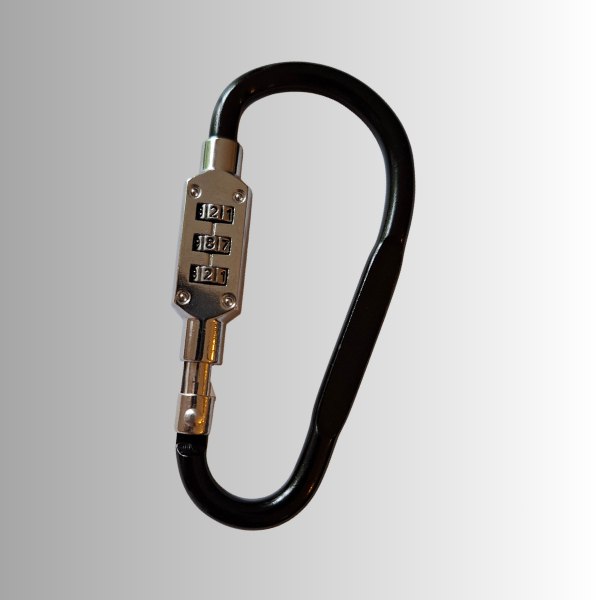 Secure Lead Lock
