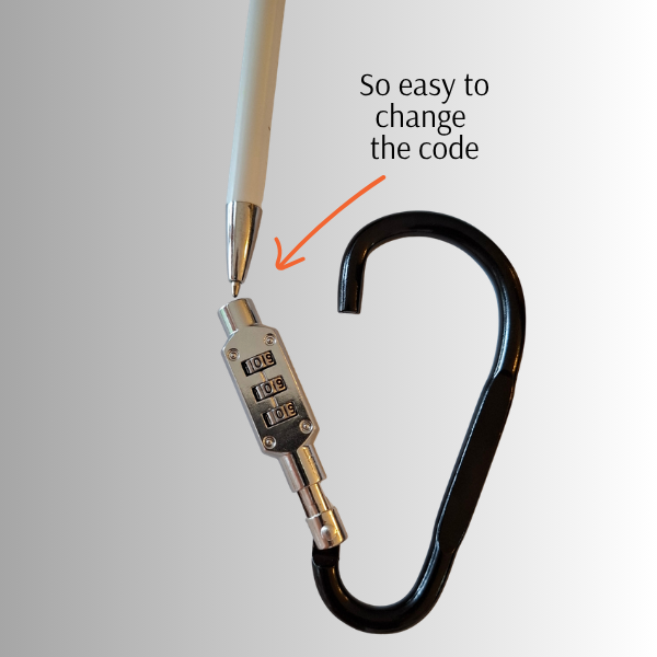 Secure Lead Lock