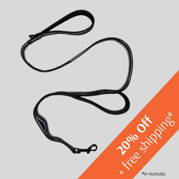 Control Dog Lead Reflective