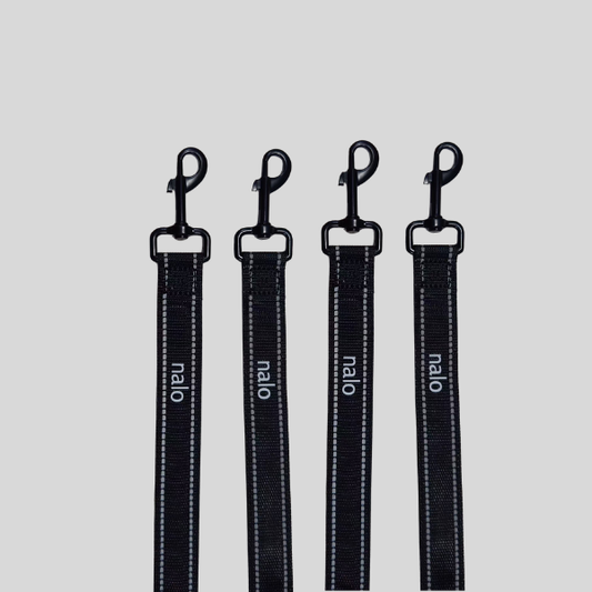 Be Seen Safety Leash