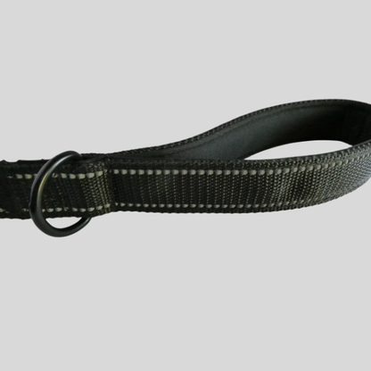 Be Seen Safety Leash